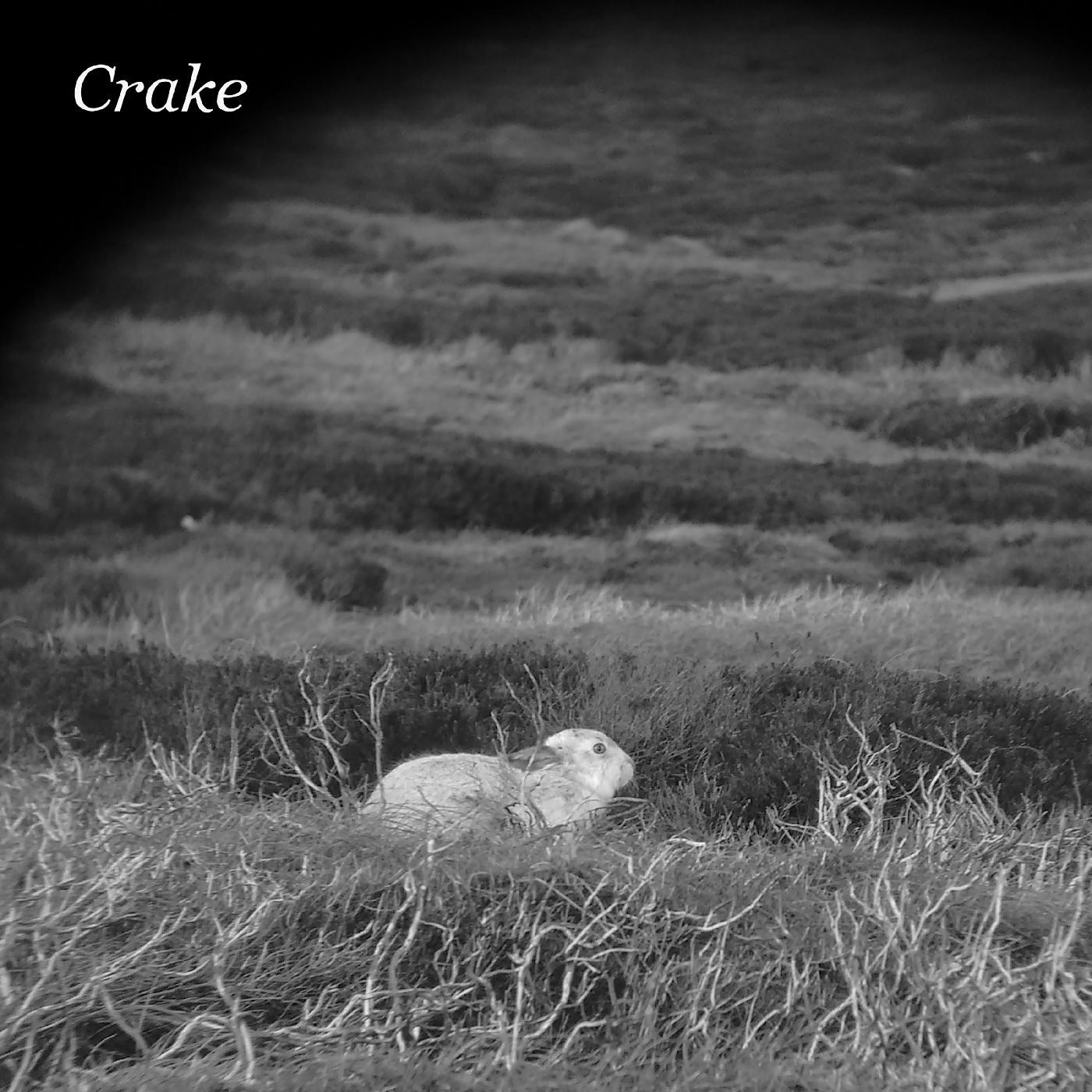 Crake | Enough Salt (For All Dogs) b/w Gef - Vinyl
