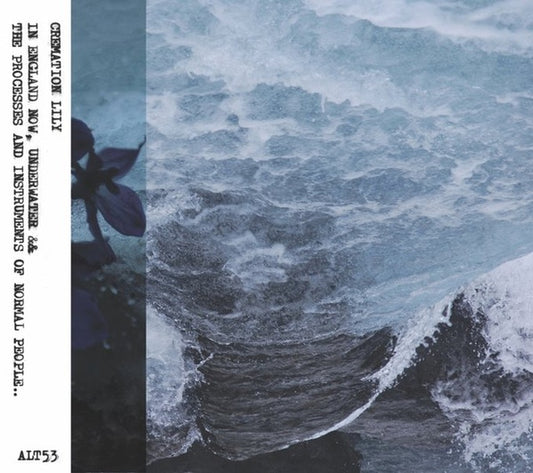 CREMATION LILY | In England Now, Underwater & The Processes And Intruments of Normarl People - CD