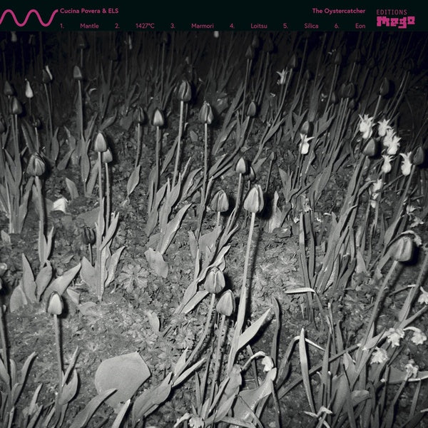 CUCINA POVERA & ELS | The Oystercatcher - Vinyl