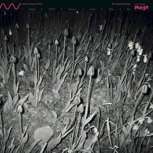 CUCINA POVERA & ELS | The Oystercatcher - Vinyl