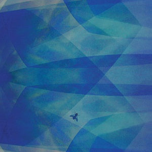 Cyro Baptista | Bluefly - CD