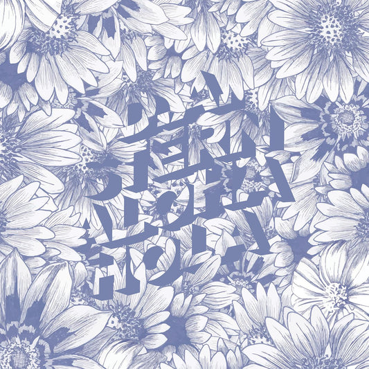 D.A. Stern | Aloha Hola - CD
