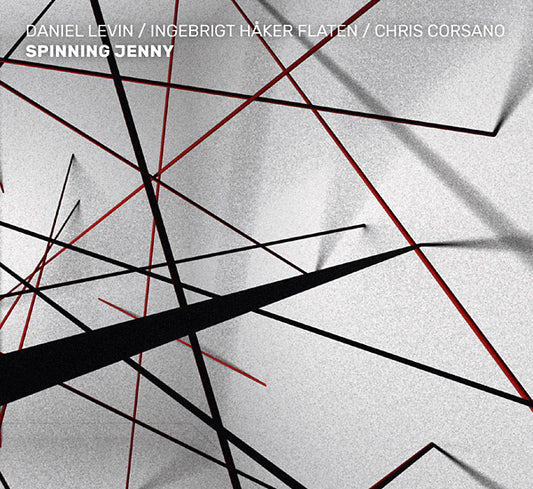 DANIEL LEVIN/INGEBRIGT HAKER FLATEN/CHRIS CORSANO | Spinning Jenny - CD