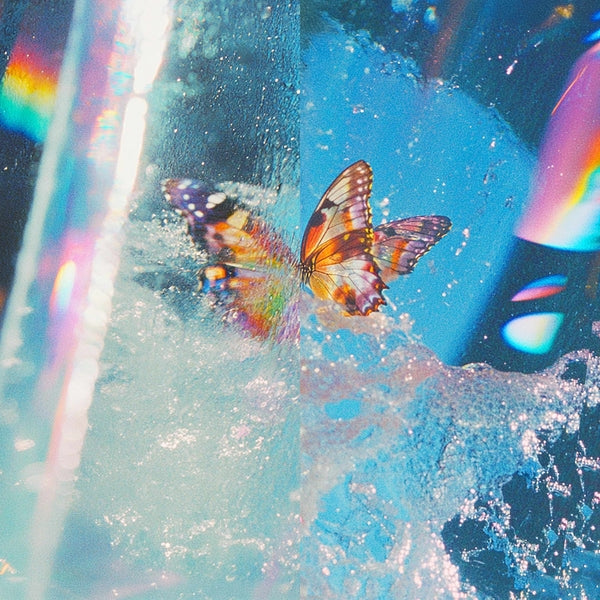 Daphni | Butterfly [2LP] - Vinyl