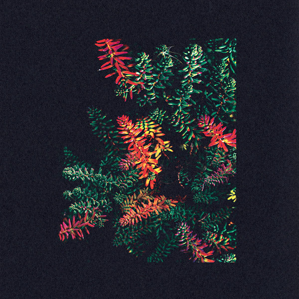 DARK SKY | Othona - CD