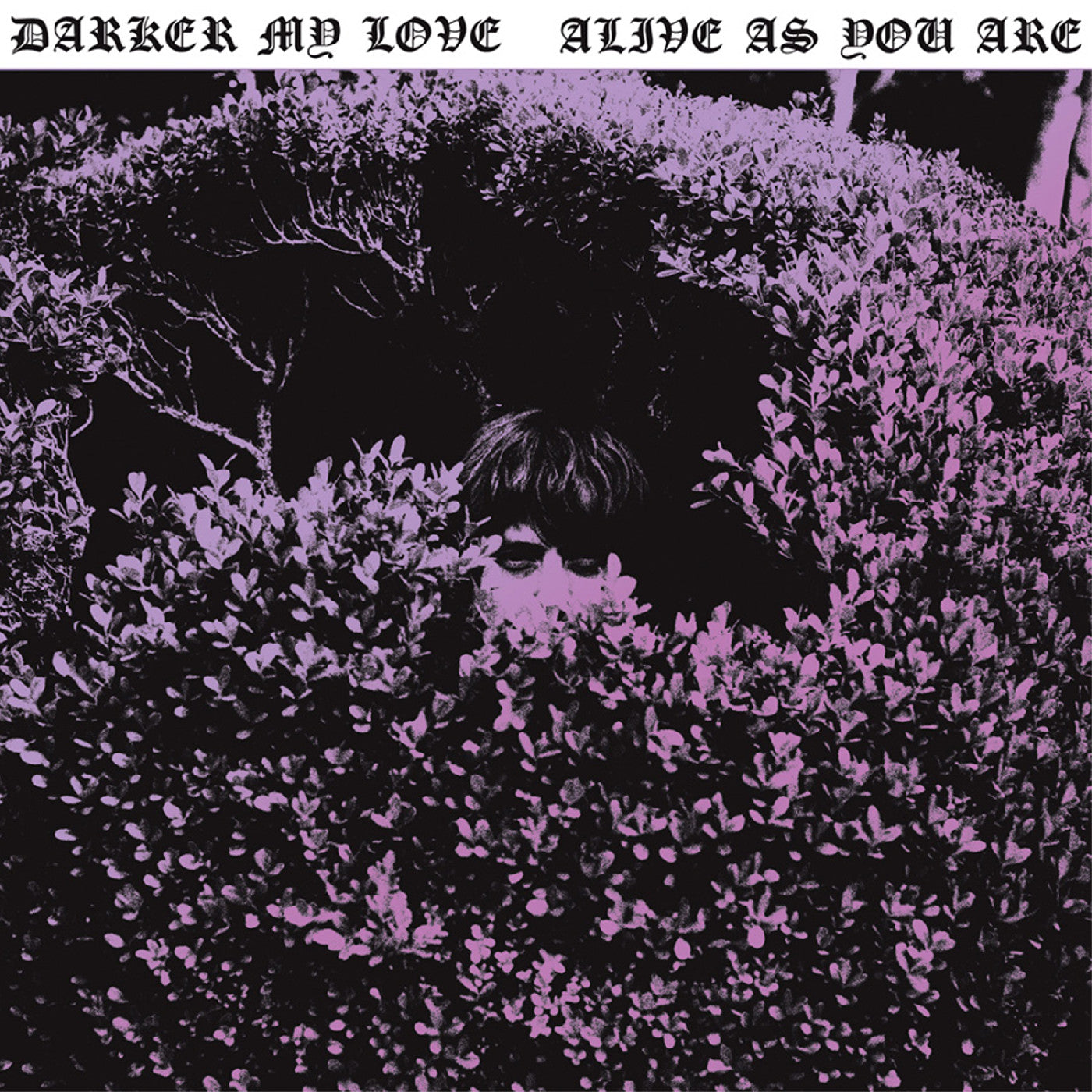 Darker My Love | Alive As You Are - CD