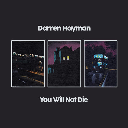 Darren Hayman | You Will Not Die - CD