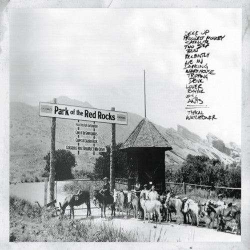 Dave Matthews Band | Live At Red Rocks 8.15.95 (Boxed Set, 150 Gram Vinyl, Download Insert) (4 Lp's) - Vinyl