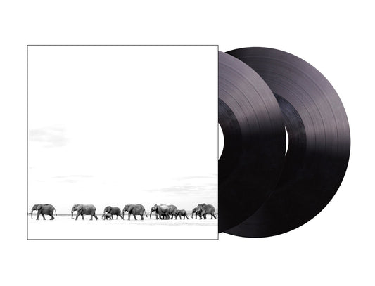 Dave Matthews Band | Where Are You Going: The Singles (2 Lp's) - Vinyl