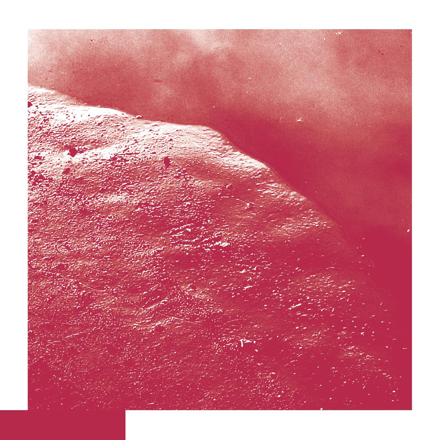 David Allred | The Cell - CD