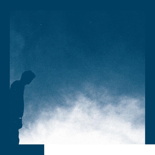 David Allred | The Transition - Vinyl