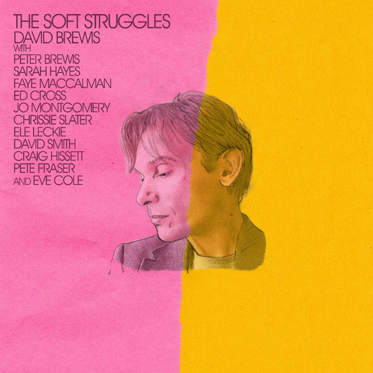 David Brewis | The Soft Struggles - Vinyl