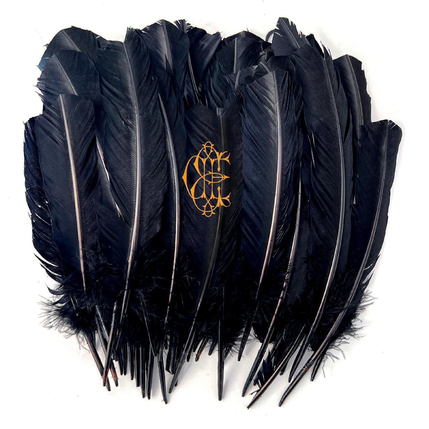 David Eugene Edwards | Hyacinth - CD