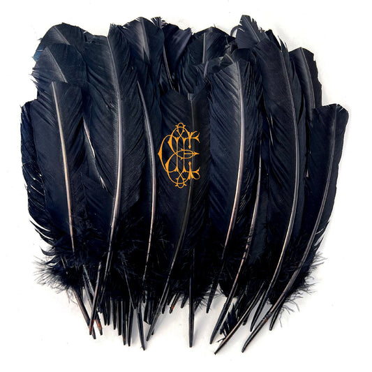 David Eugene Edwards | Hyacinth - CD