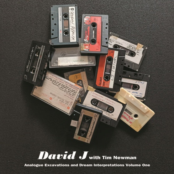 DAVID J WITH TIM NEWMAN | Analogue Excavations & Dream Interpretations Vol.1 - Vinyl