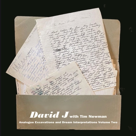 DAVID J WITH TIM NEWMAN | Analogue Excavations & Dream Interpretations Vol.2 - Vinyl
