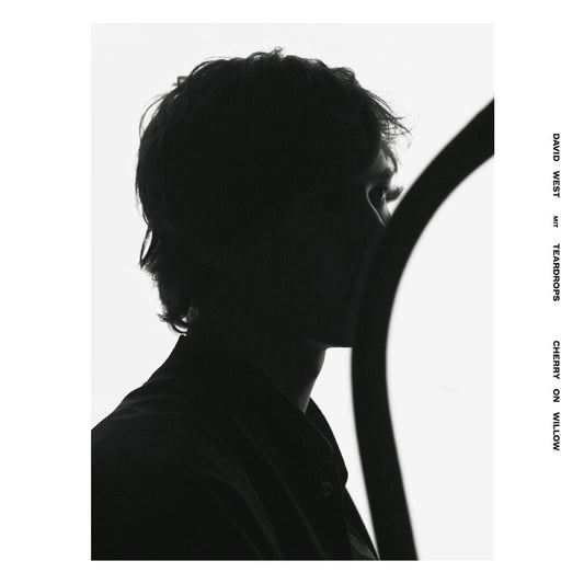 David With Teardrops West | Cherry On Willow - CD