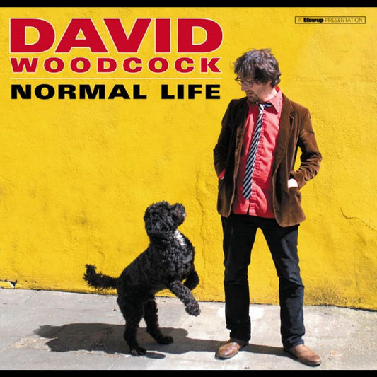 David Woodcock | Normal Life - Vinyl