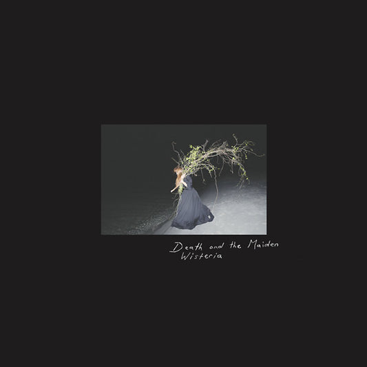 DEATH AND THE MAIDEN | Wisteria - CD