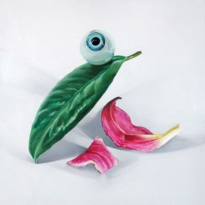 DELS | Petals Have Fallen - CD