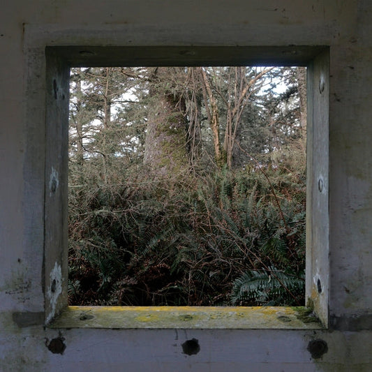 DEREK HUNTER WILSON | ScuLPtures [LP] - Vinyl