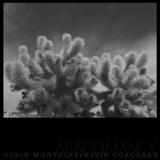 Derek Monypeny And Kevin Corcoran | Abacomancy [LP] - Vinyl