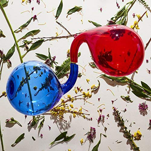 Dirty Projectors | Lamp Lit Prose - Vinyl