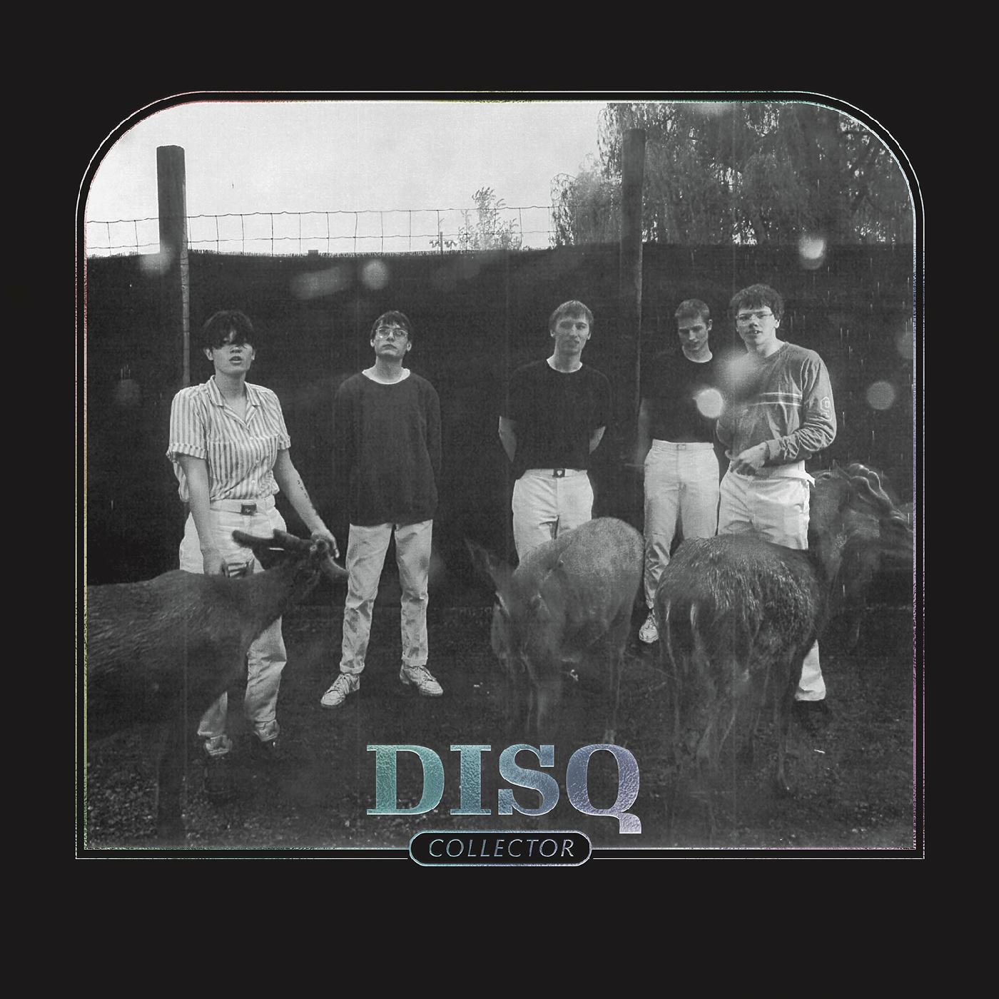 Disq | Collector - CD