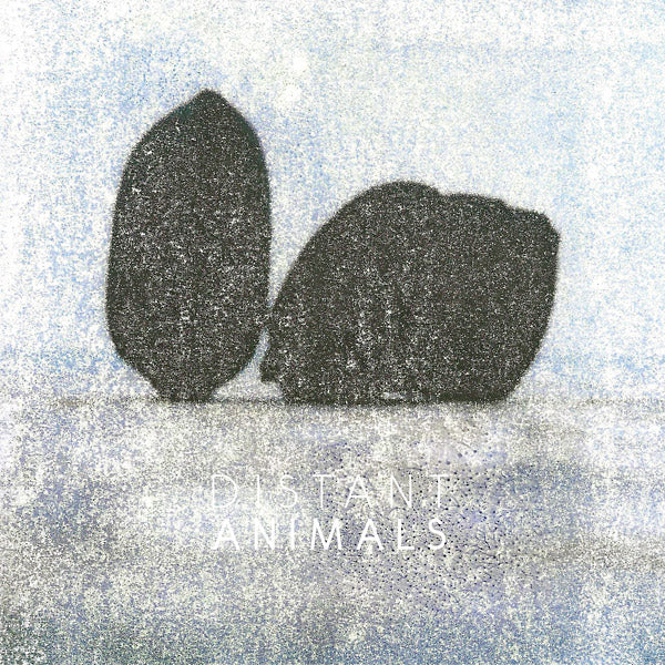 DISTANT ANIMALS | Lines - Vinyl