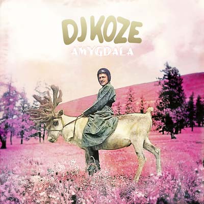 DJ Koze | Amygdala - CD