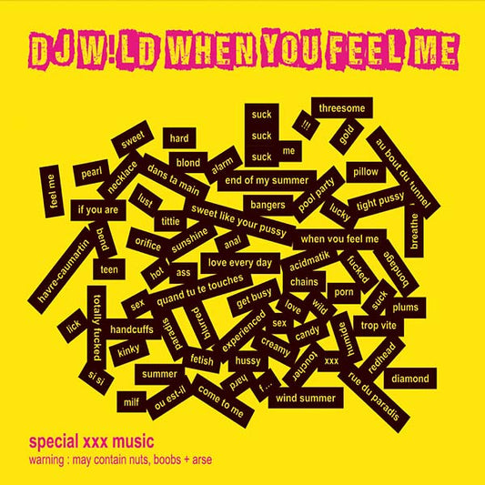 DJ W!LD | When You Feel Me - CD