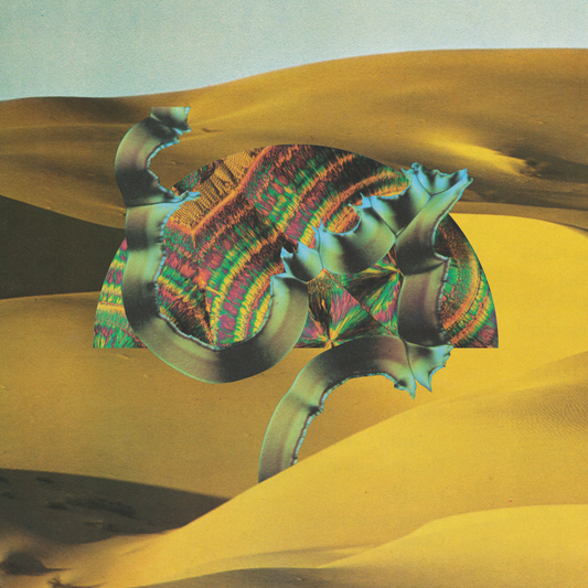 Django Django | Django Django - Vinyl