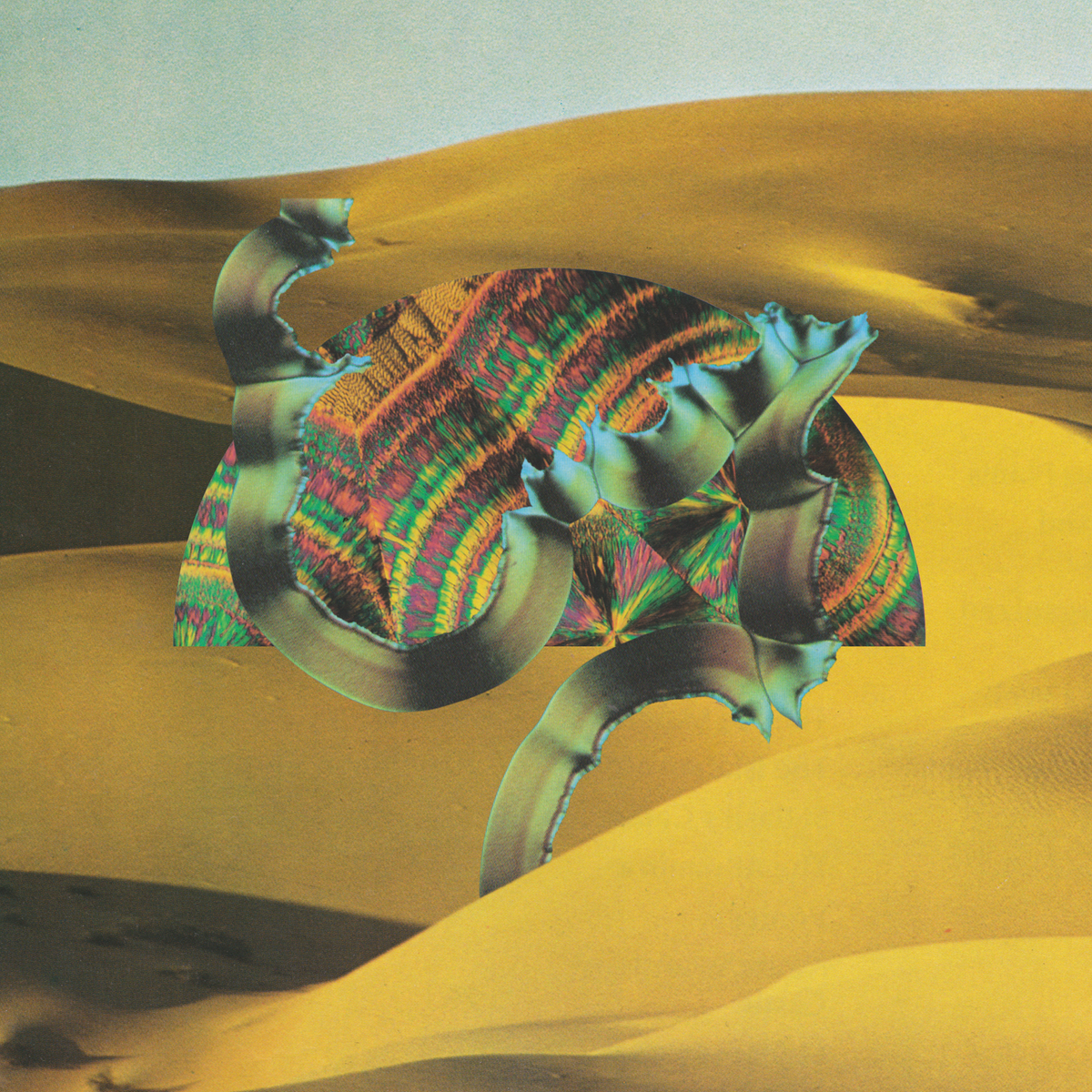 Django Django | Django Django - CD