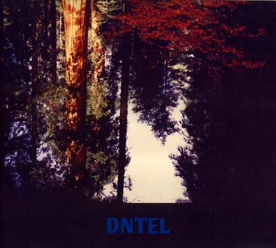 DNTEL | Aimlessness - CD