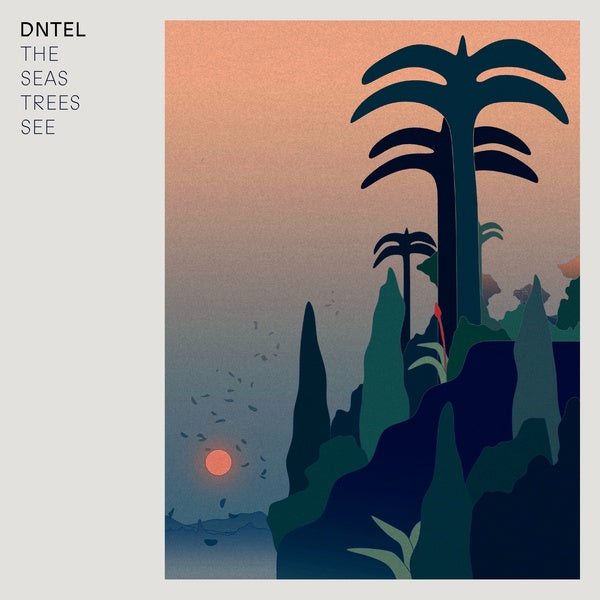 DNTEL | The Seas Trees See - CD
