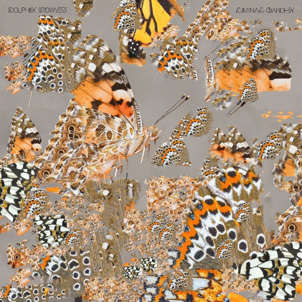 DOLPHIN MIDWIVES | Liminal Garden - Vinyl