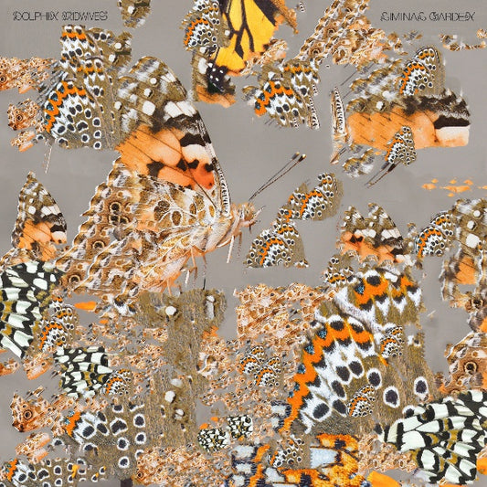 DOLPHIN MIDWIVES | Liminal Garden - Vinyl