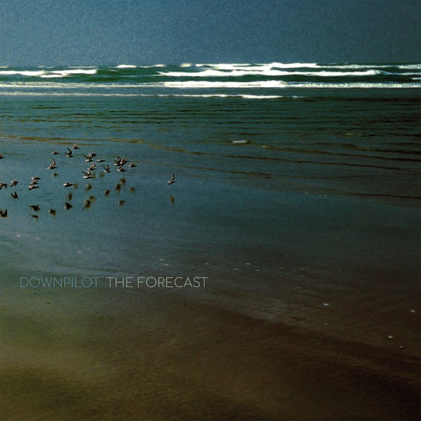 DOWNPILOT | The Forecast - Vinyl