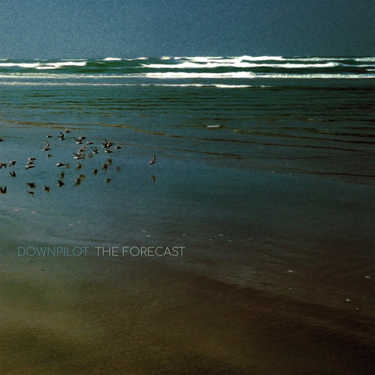 DOWNPILOT | The Forecast - Vinyl