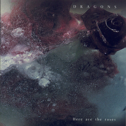 Dragons | Here Are the Roses - CD