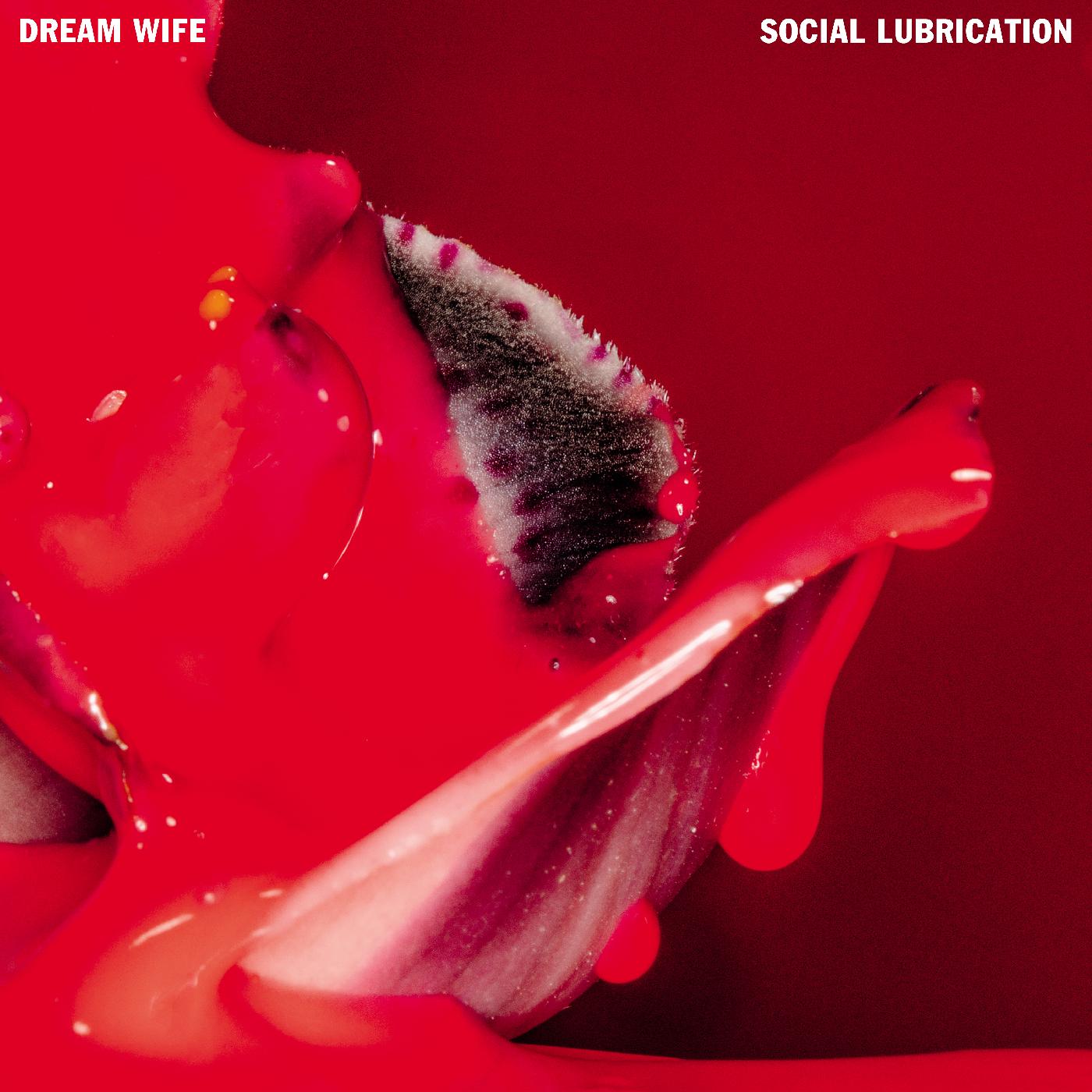 Dream Wife | Social Lubrication (DEEP RED VINYL) - Vinyl