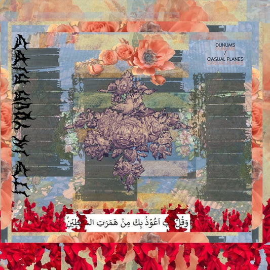 DUNUMS/CASUAL PLANES | Its In Your Ribs - Vinyl