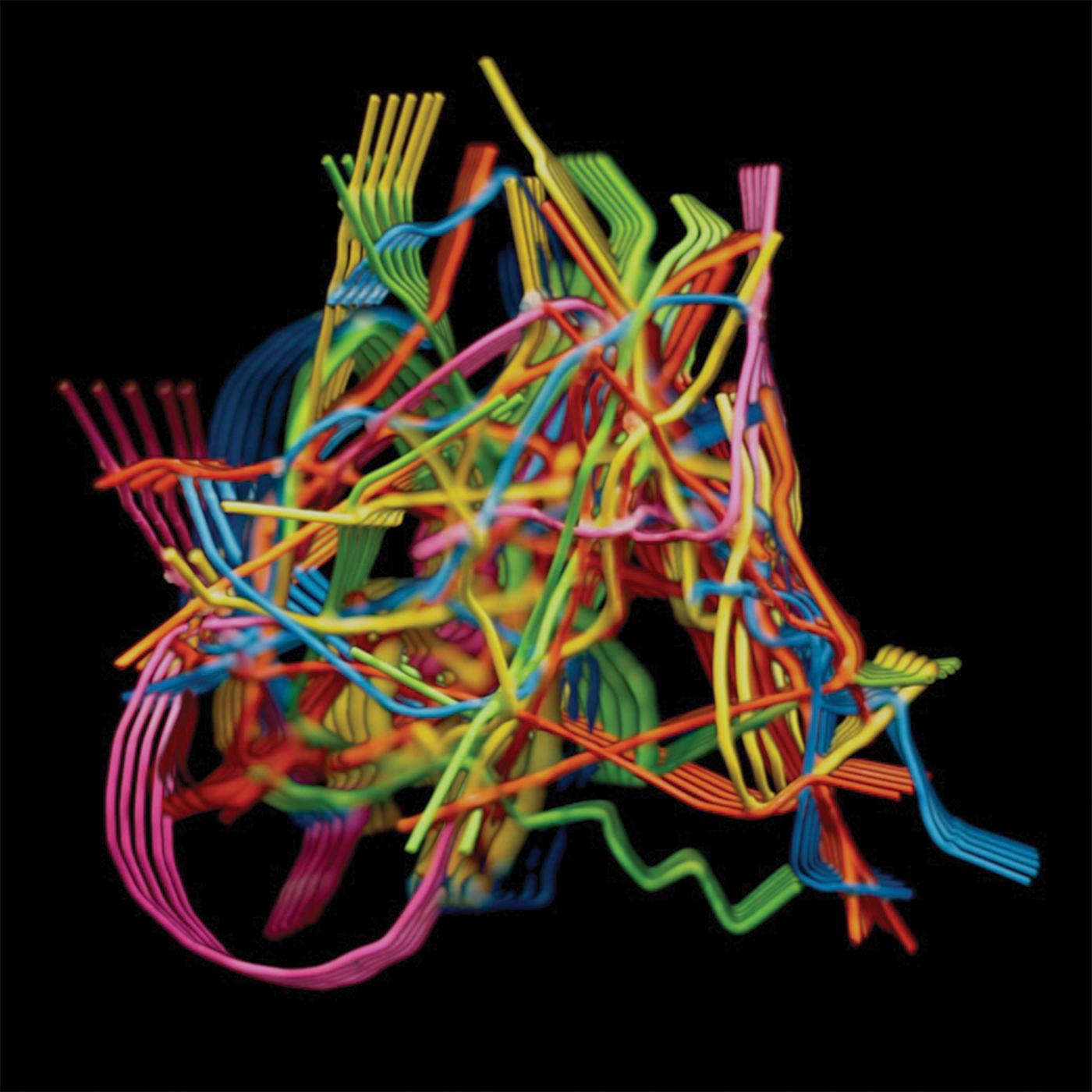 Dustin Wong | Perpetual Morphosis - CD