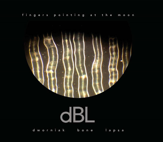 Dworniak Bone Lapsa | Fingers Pointing At The Moon - Vinyl
