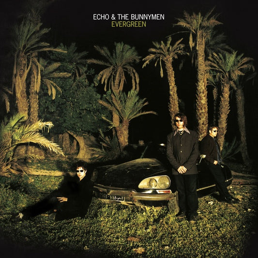 Echo & The Bunnymen | Evergreen (Standard Edition) - CD