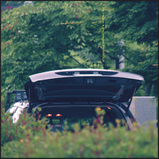 Eiko & Jim O'Rourke Ishibashi | Pareidolia - Vinyl