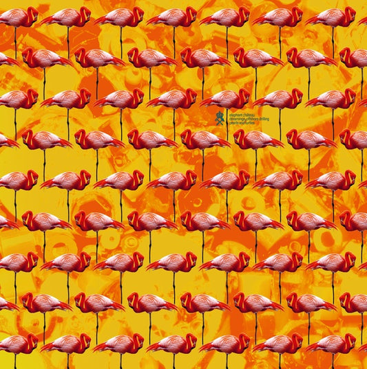 ELEPHANT CHATEAU | Dreamings & Offshore Drilling - Pearls And Turtles - CD