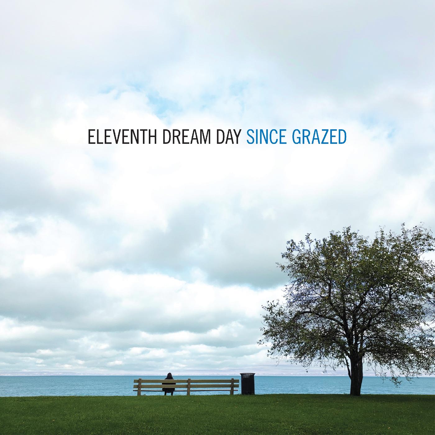 Eleventh Dream Day | Since Grazed - Vinyl