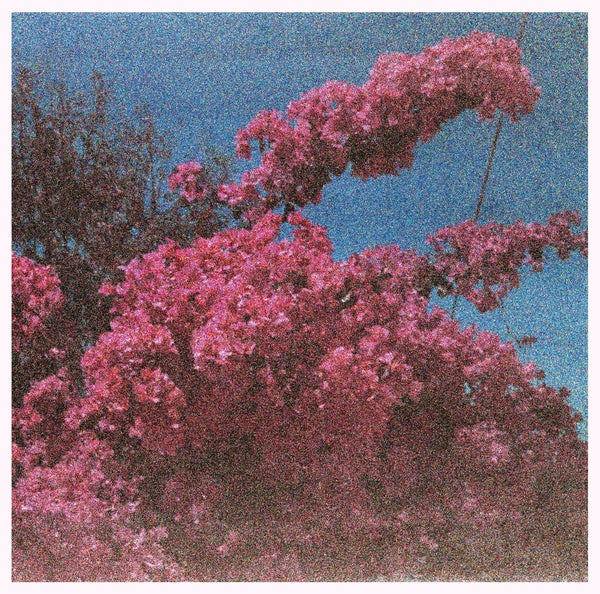 ELISABETH KLINCK | Picture a Frame - Vinyl