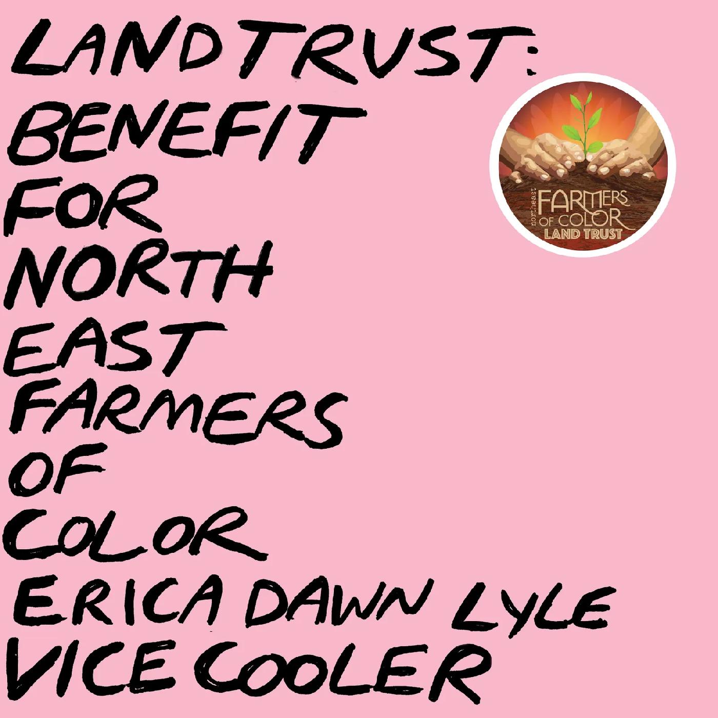 Erica Dawn Lyle VICE COOLER | Land Trust: Benefit For NEFOC (BABY PINK VINYL) - Vinyl